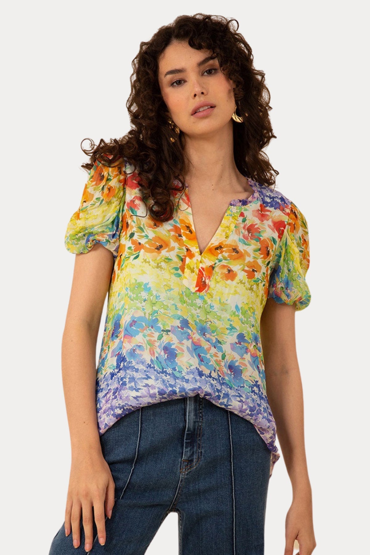 Hale Bob Ana Georgette Renkli Desenli Bluz