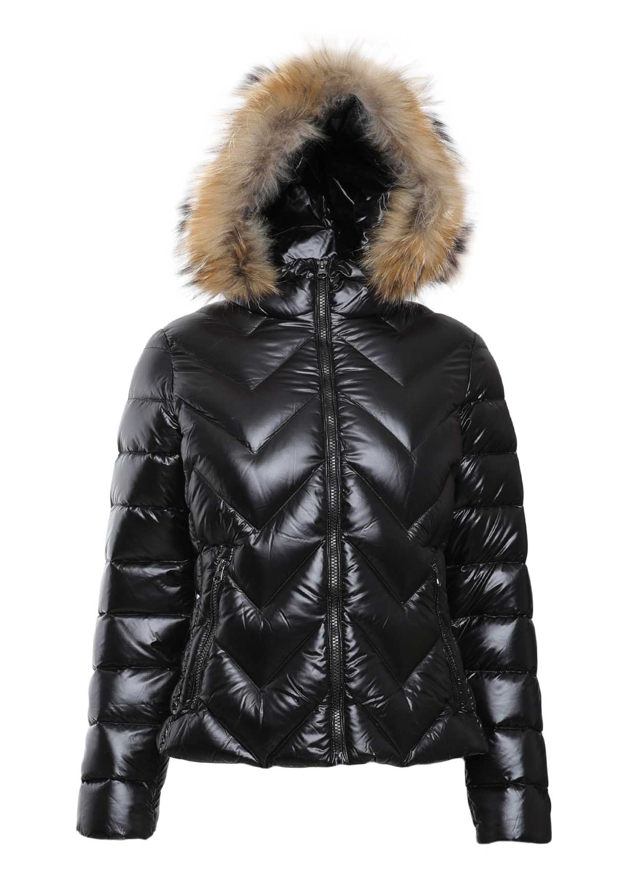 Hetrego Mont-Libas Trendy Fashion Store