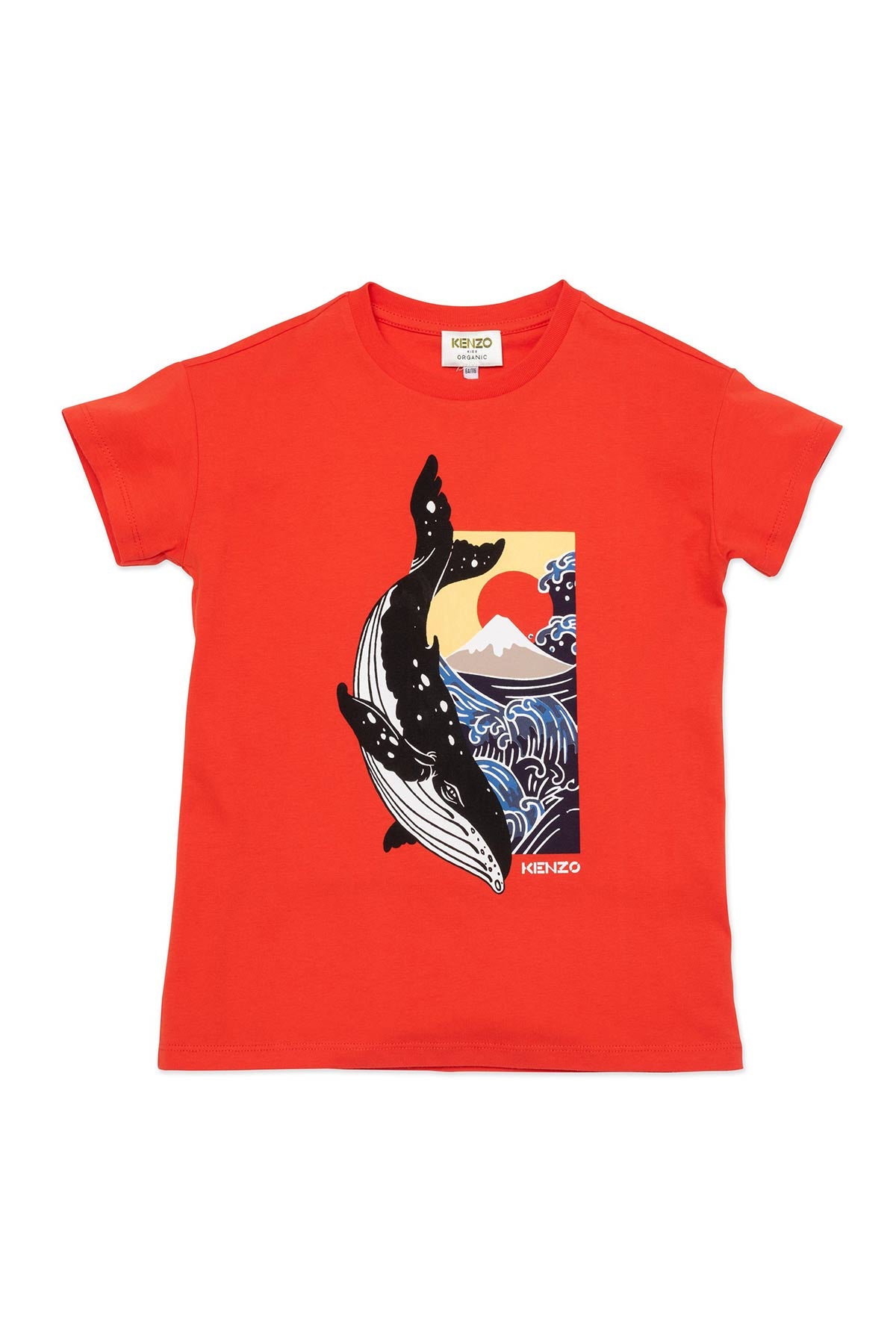 Kenzo Kids 5-6 Yaş Erkek Çocuk Balina Temalı T-shirt-Libas Trendy Fashion Store
