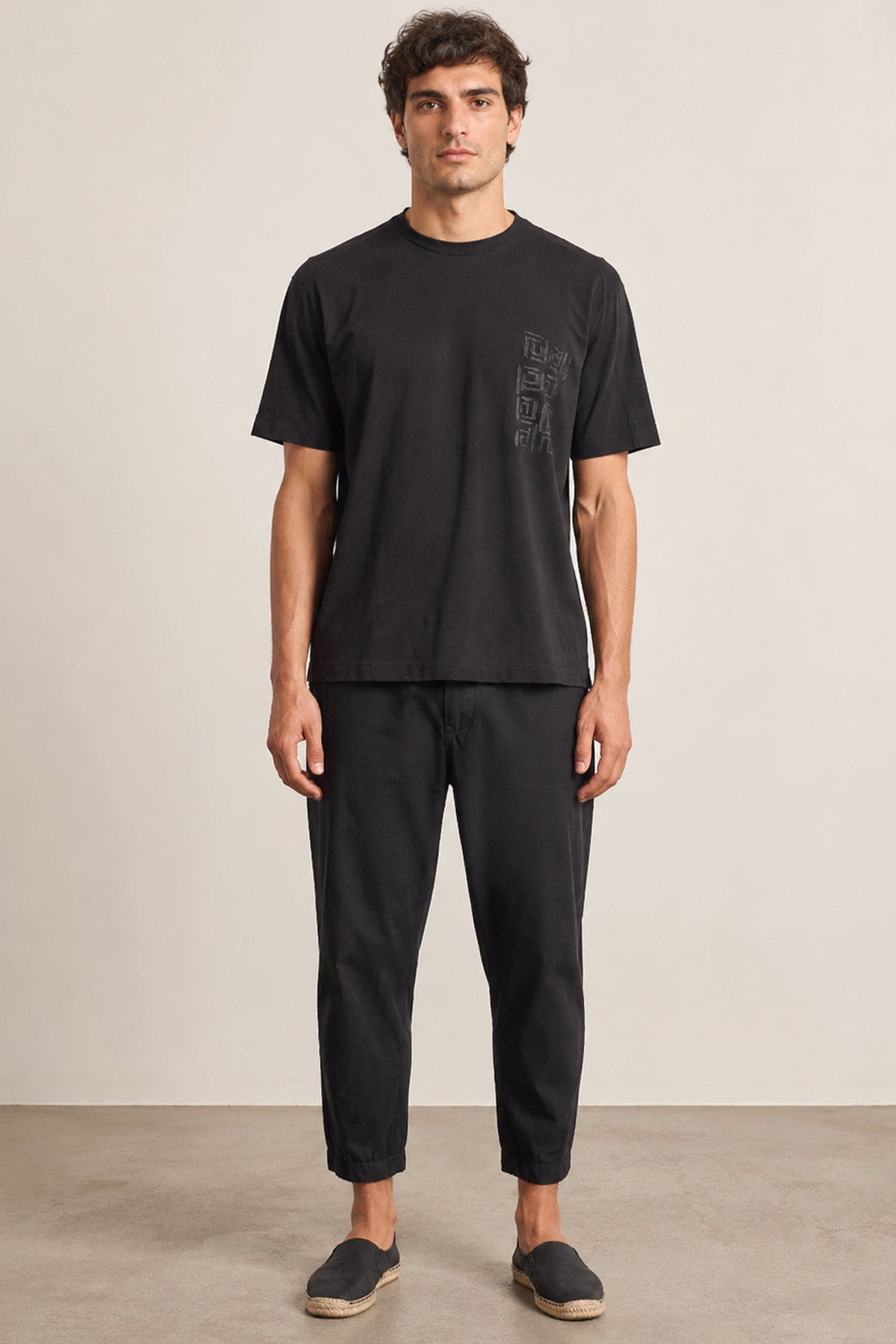 Transit Regular Fit Yuvarlak Yaka Desenli T-shirt