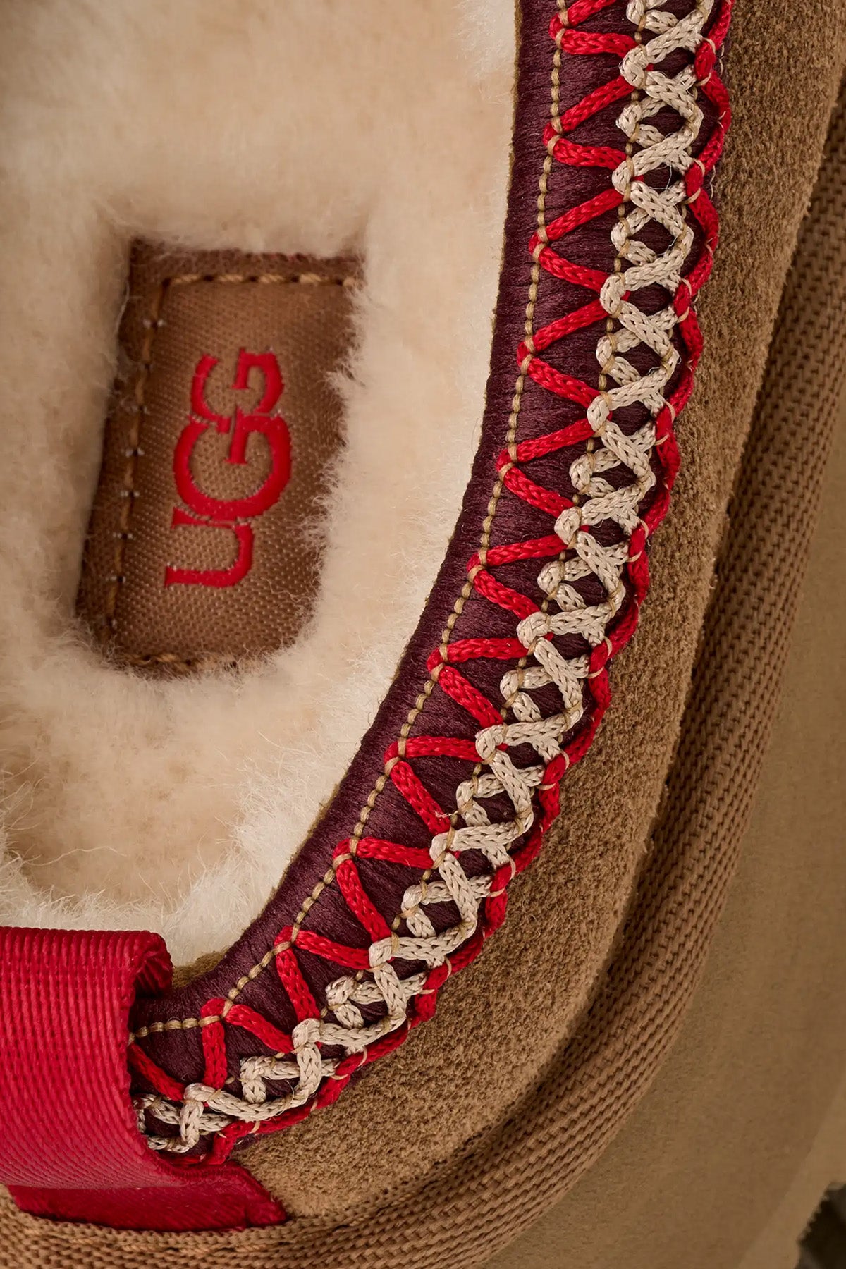 Ugg Chestnut Tazz Terlik
