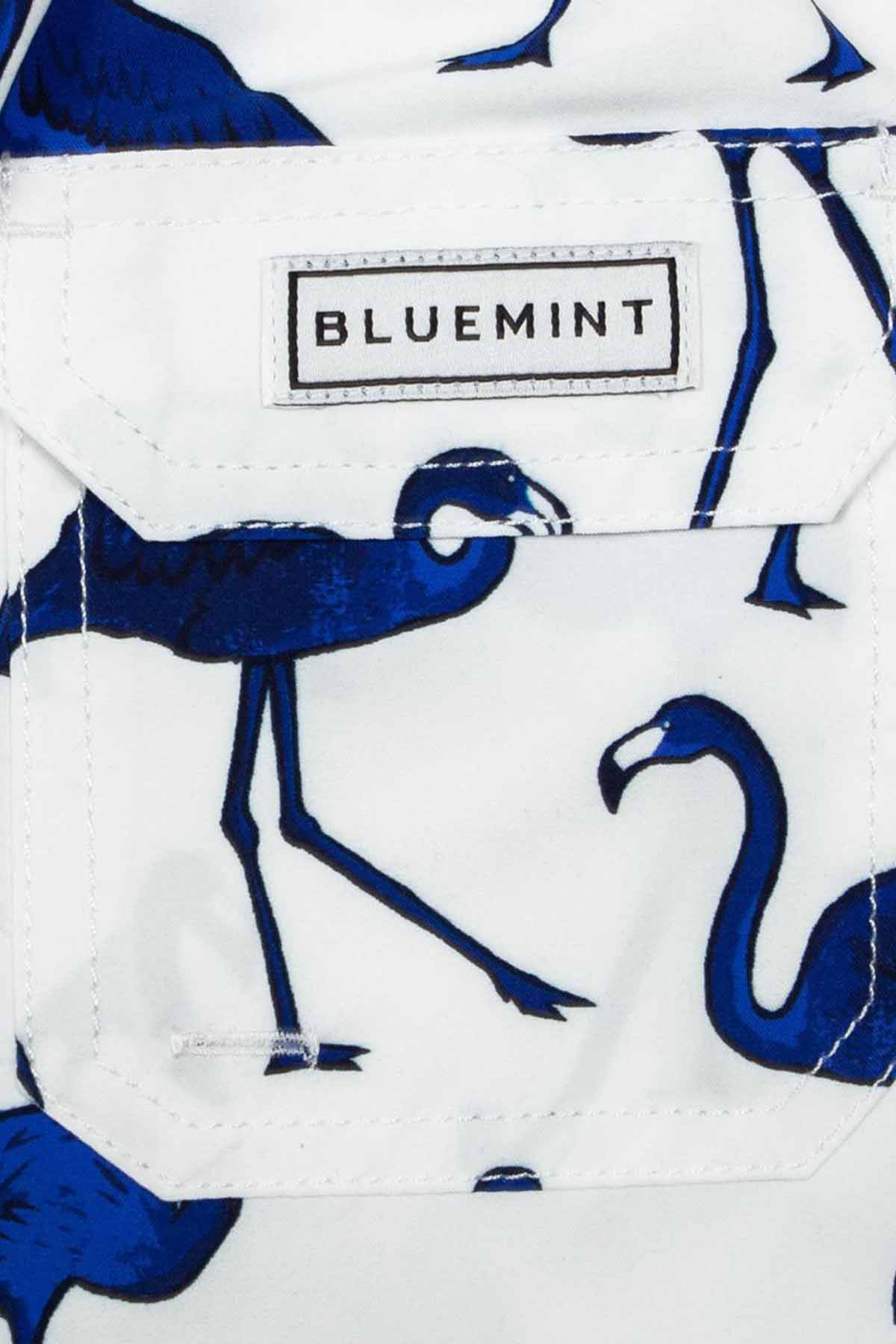 Bluemint 2-12 Yaş Erkek Çocuk Arthus Boy Mono Flamingo Şort Mayo-Libas Trendy Fashion Store