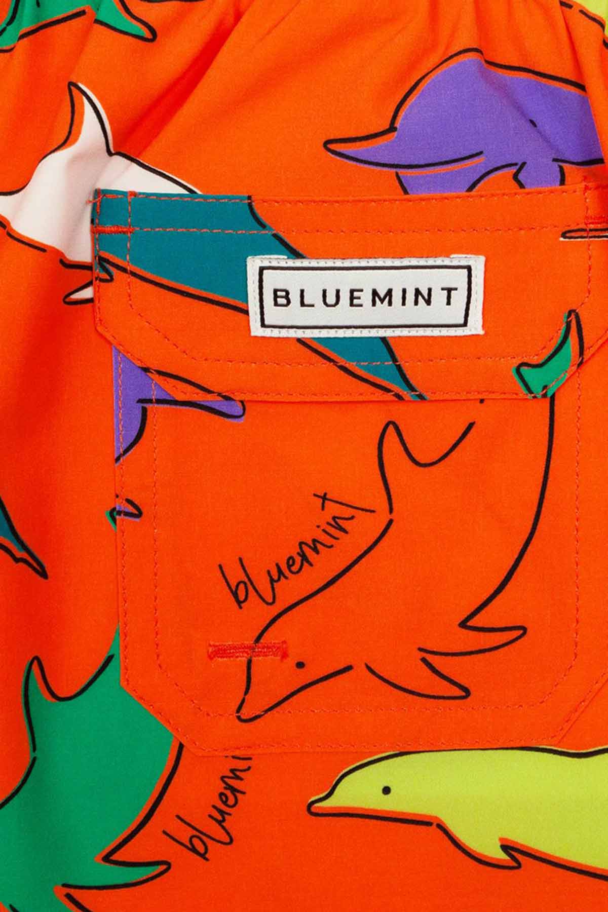 Bluemint 2-8 Yaş Erkek Çocuk Arthus Boy Stretch Orange Dolphin Şort Mayo-Libas Trendy Fashion Store