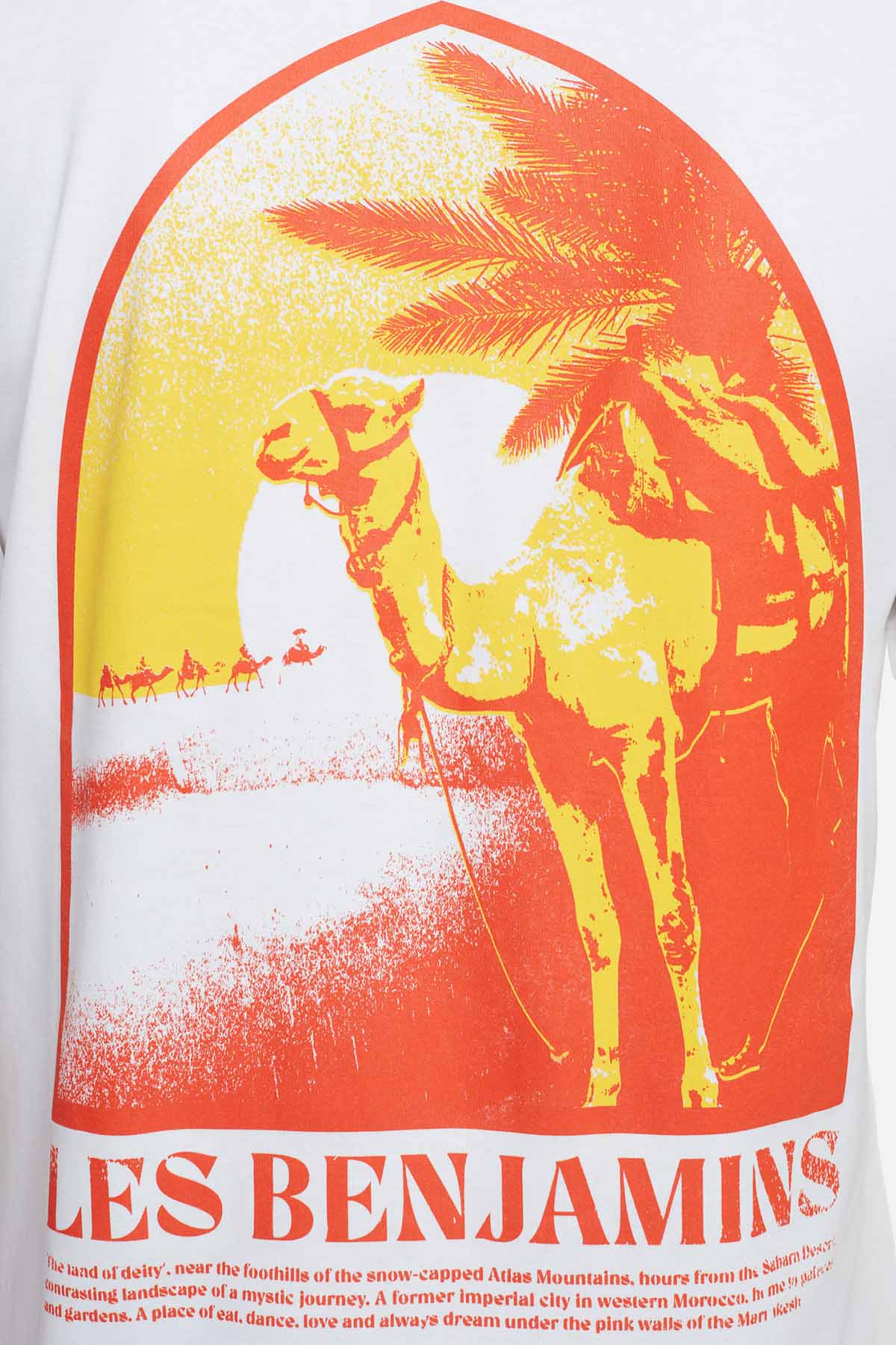 Les Benjamins Yuvarlak Yaka Baskılı T-shirt-Libas Trendy Fashion Store