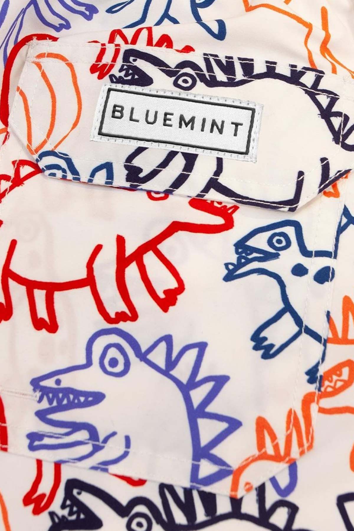 Bluemint Kids 4-6 Yaş Erkek Çocuk Arthus Colourful Dino Şort Mayo-Libas Trendy Fashion Store